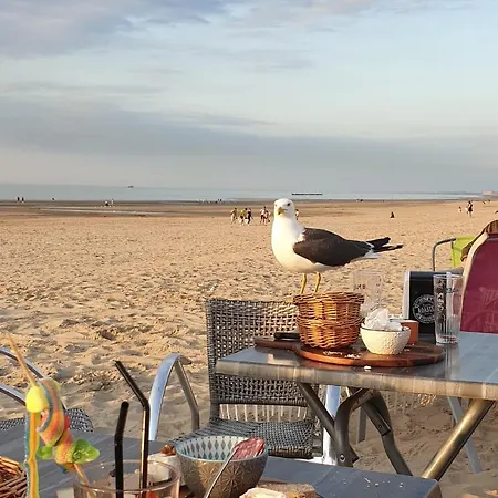 Le Sweet D'alice!!! à La Alice Roger Dunkirk